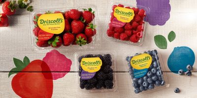 win driscolls berries