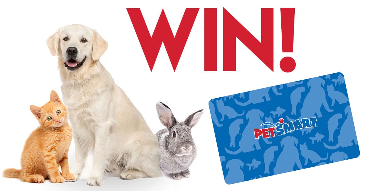 WIN a 100 PetSmart Gift Card • Canadian Savers