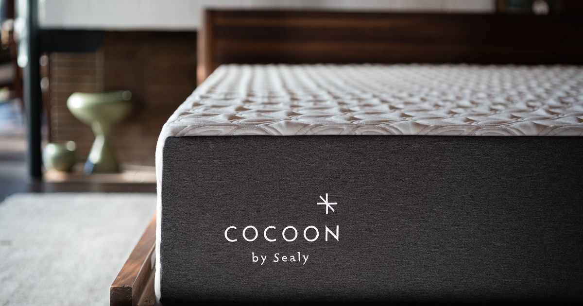 win cocoon sealy mattress