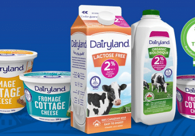 Free Dairyland Milk For A Year To Win 5 Winners Canadian Savers