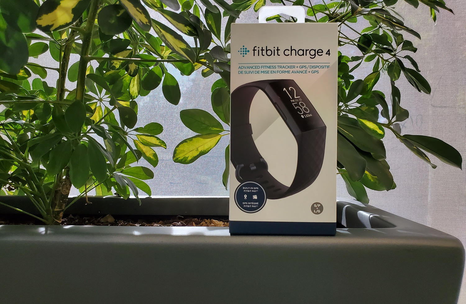 win fitbit charge 4