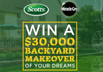 Backyard Makeover scotts