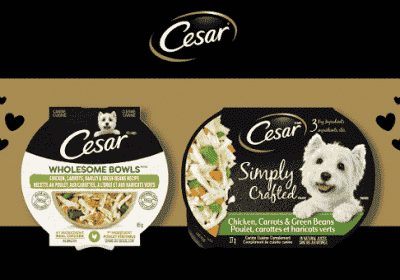 free cesar dog food