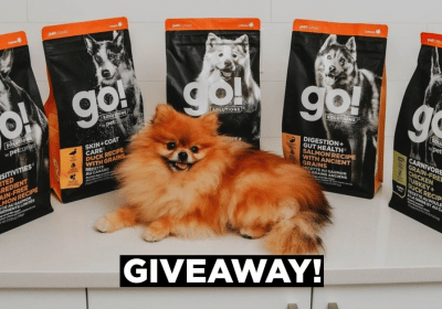 Go solutions pet food giveaway