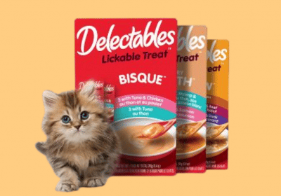 FULL BOX of Delectables Licking Cat treat