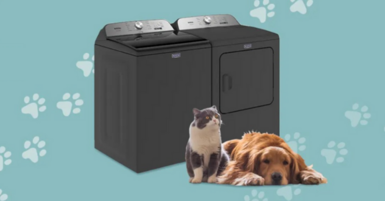 Win a 2000 Maytag Pet Pro Laundry Pair 1
