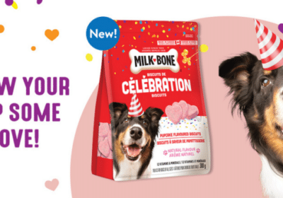 Try for free Milk bone dog treats