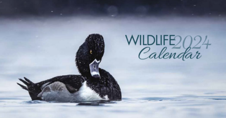 Receive your FREE 2024 Canadian Wildlife Calendar